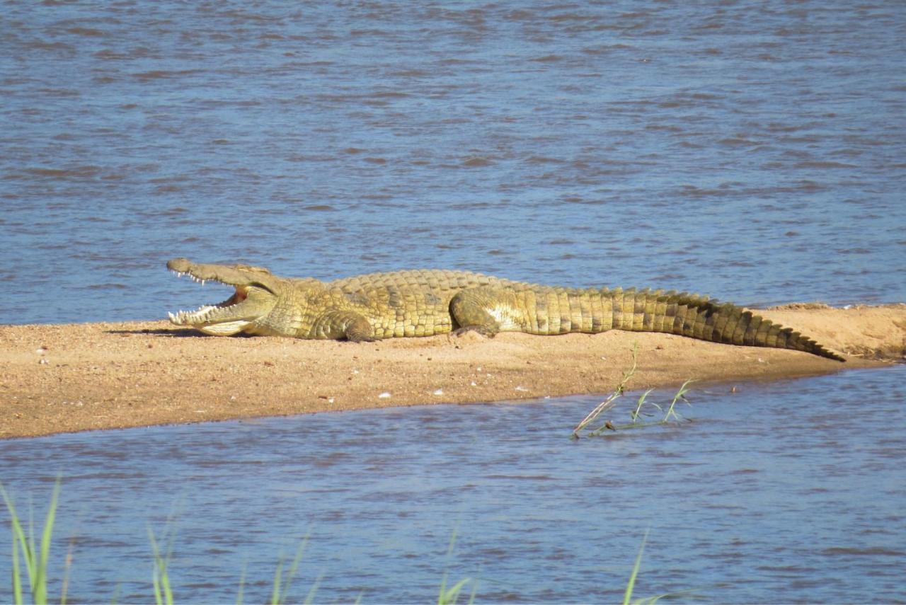 Crocodile Bridge Safari Lodge Коматіпурт Екстер'єр фото